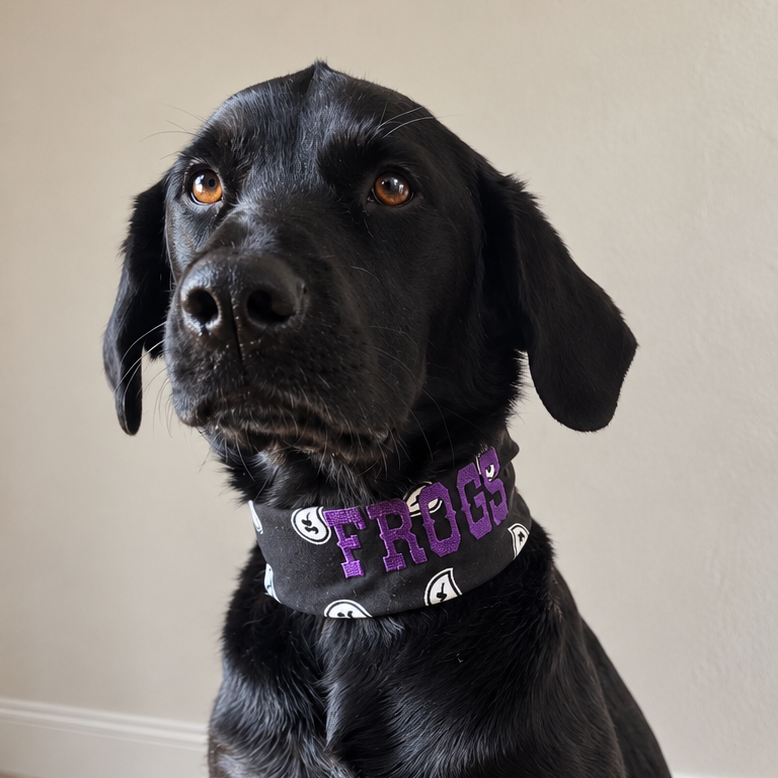 A black dog sitting indoors on a brown patterned rug, wearing a black collar with purple 'FROGS' lettering and small frog illustrations.